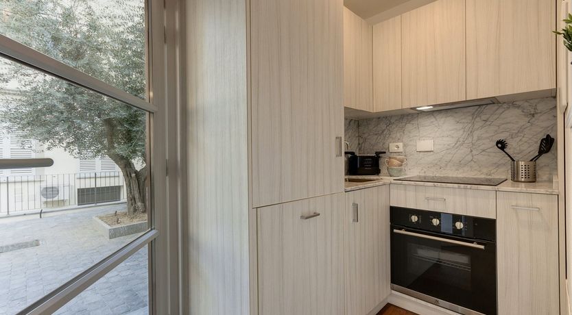 Photo of Olive Tree Shade