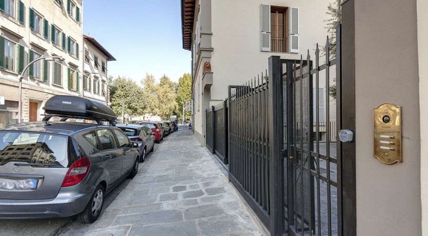 Photo of Olive Tree Shade