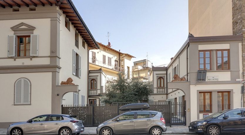 Photo of Olive Tree Shade