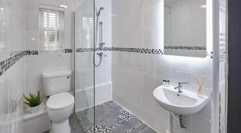 Photo of The Climbing Daisy