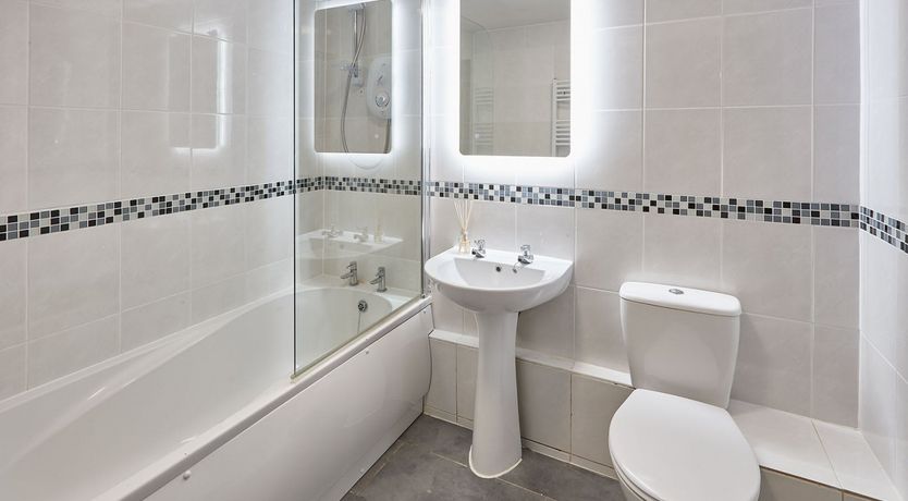 Photo of The Climbing Daisy