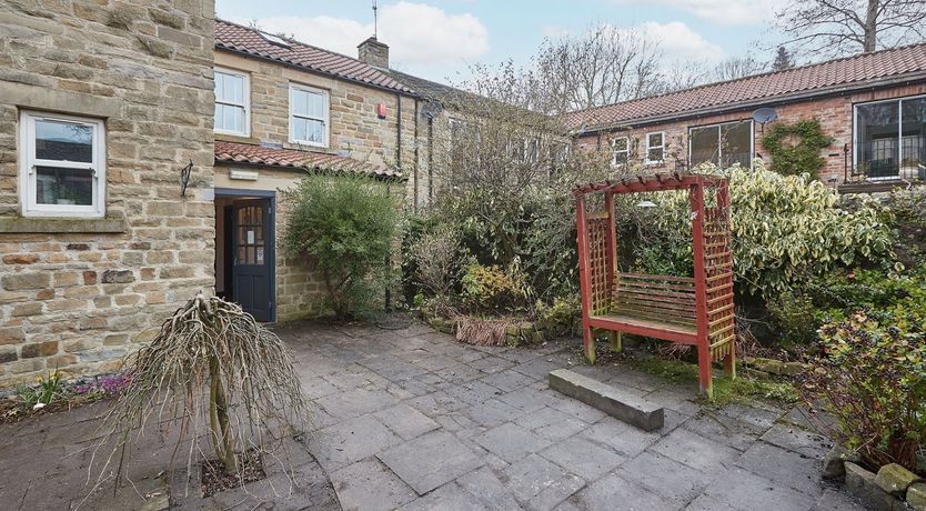 Photo of The Climbing Daisy