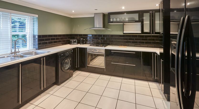 Photo of The Climbing Daisy