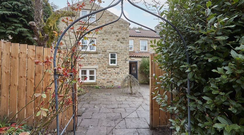 Photo of The Climbing Daisy