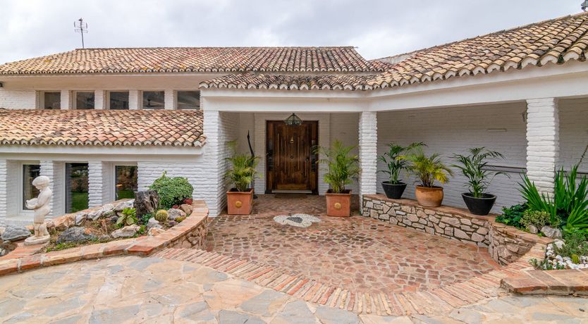 Photo of Everything Zen