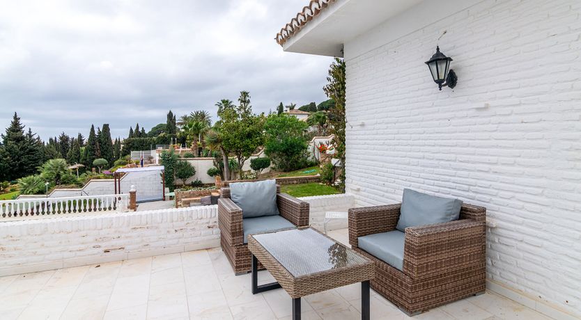 Photo of Everything Zen