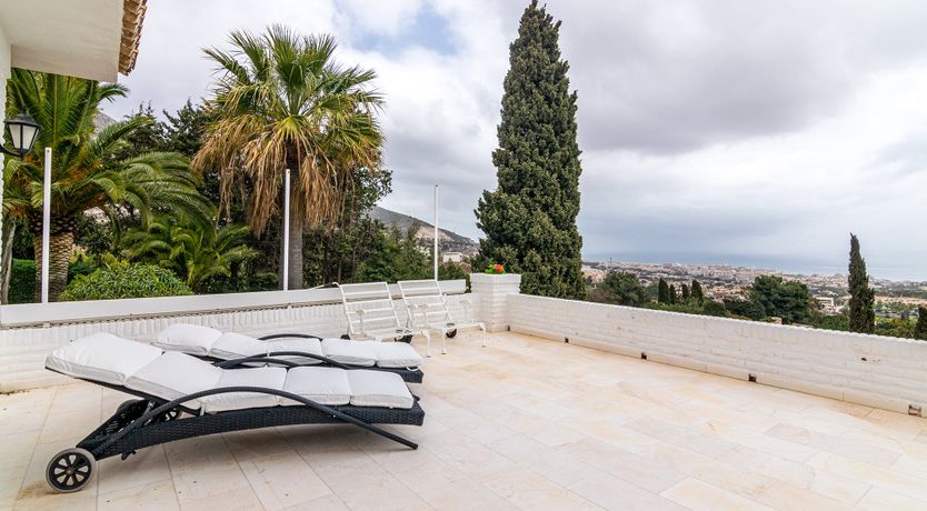 Photo of Everything Zen