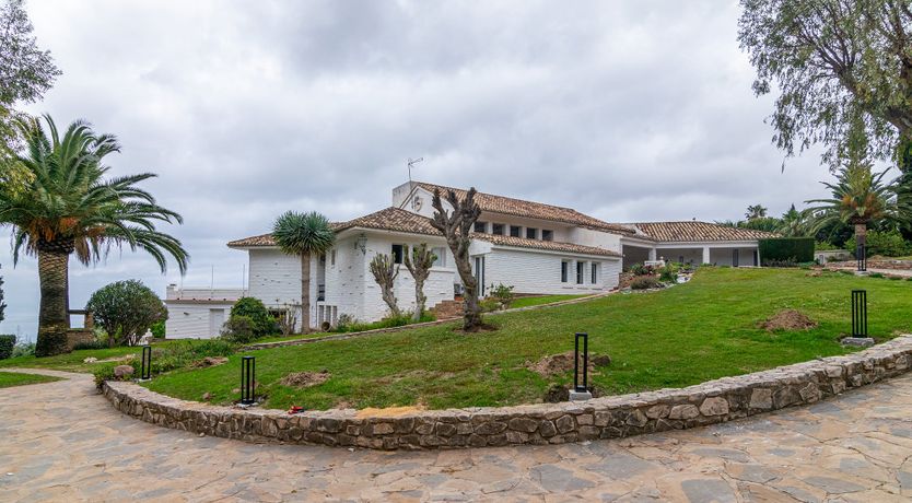 Photo of Everything Zen