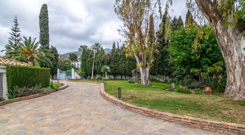 Photo of Everything Zen