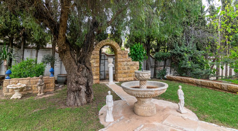 Photo of Everything Zen