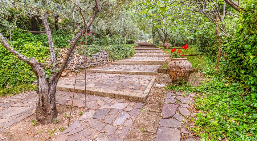 Photo of Days of Wine & Roses