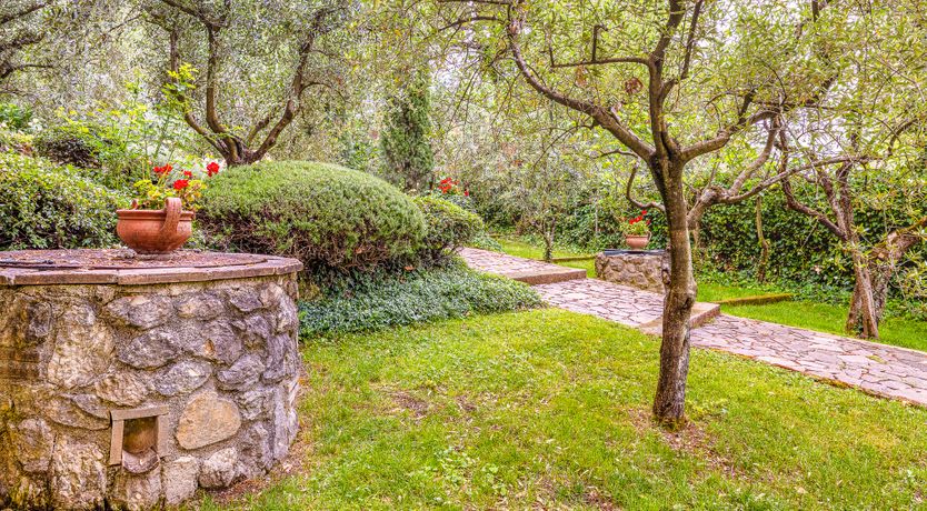 Photo of Days of Wine & Roses