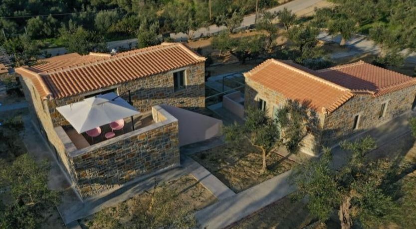 Photo of The Olive Harvest