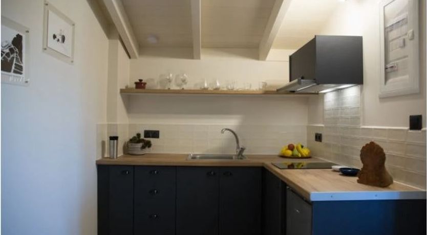 Photo of The Olive Harvest