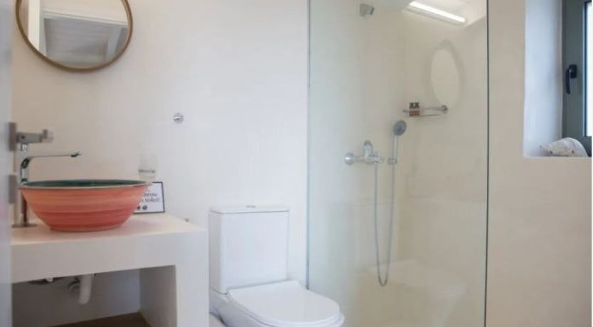 Photo of The Olive Harvest