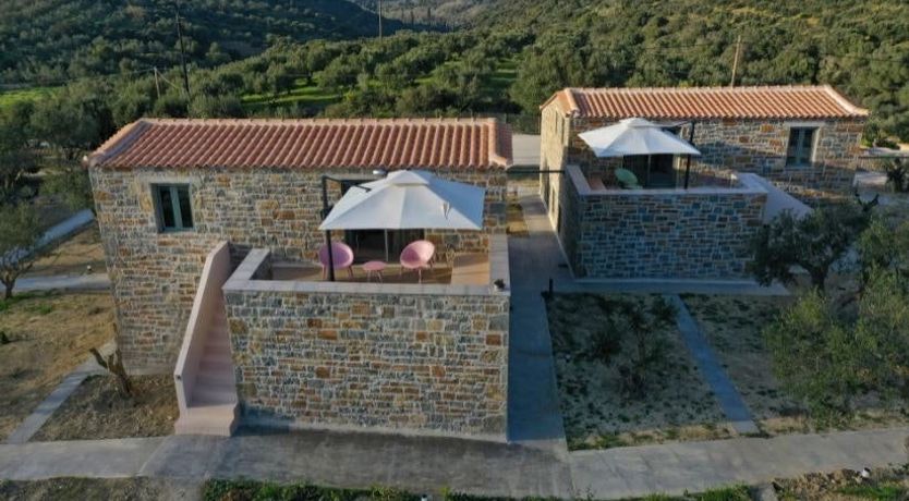 Photo of The Olive Harvest