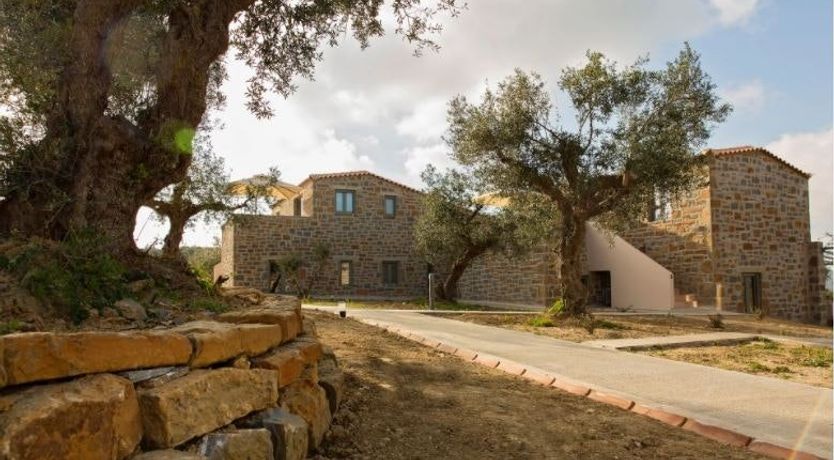 Photo of The Olive Harvest