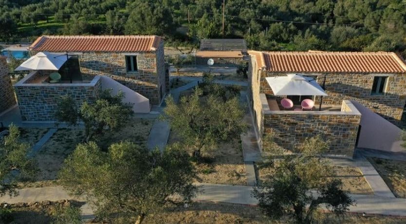 Photo of The Olive Harvest