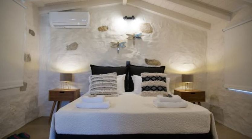 Photo of The Olive Harvest