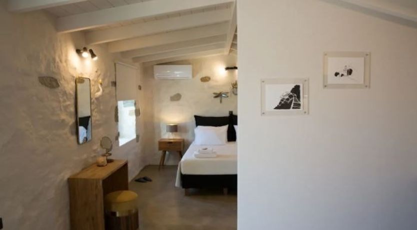 Photo of The Olive Harvest