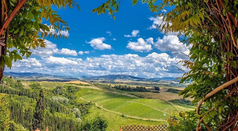Photo of The House In The Hills