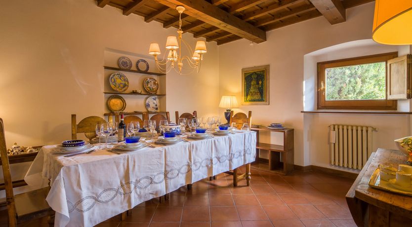 Photo of Olive Vineyards