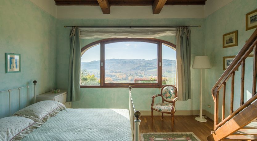 Photo of Olive Vineyards