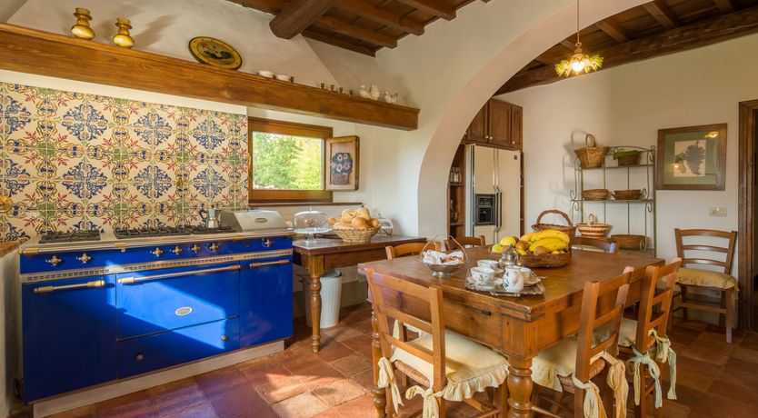 Photo of Olive Vineyards