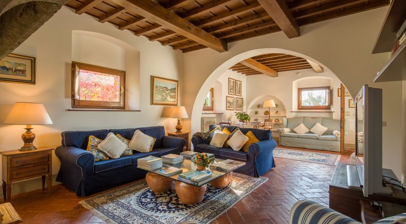 Photo of Olive Vineyards