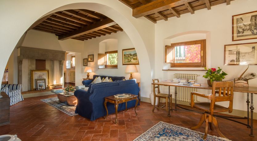 Photo of Olive Vineyards