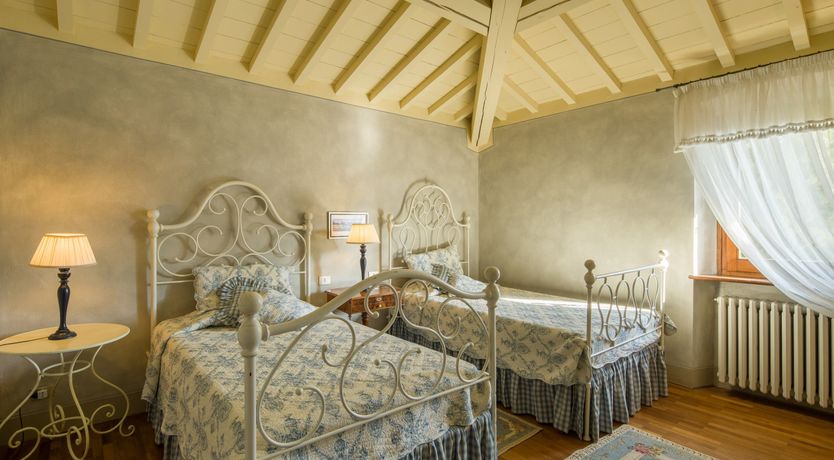 Photo of Olive Vineyards