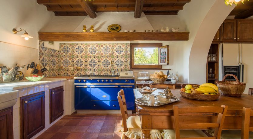 Photo of Olive Vineyards