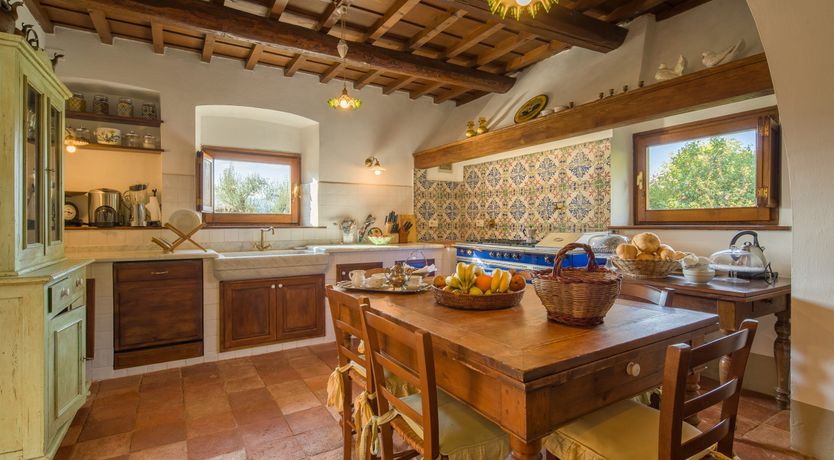 Photo of Olive Vineyards