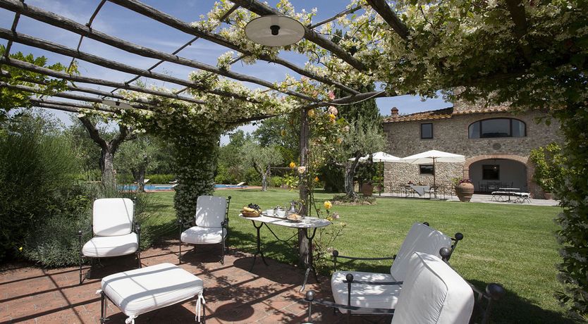 Photo of Olive Vineyards