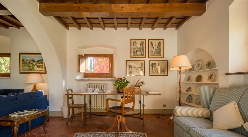 Photo of Olive Vineyards