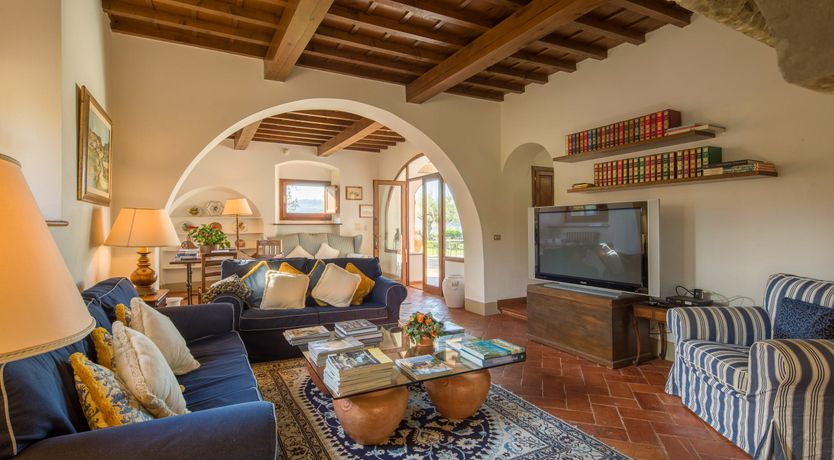 Photo of Olive Vineyards