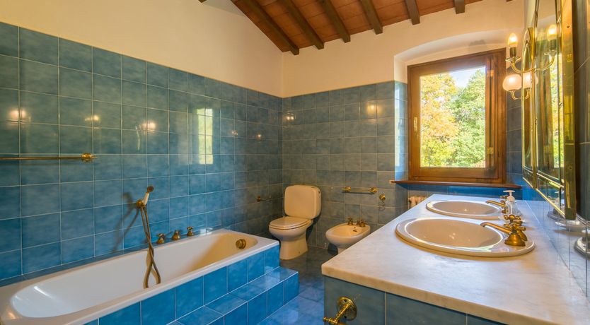 Photo of Olive Vineyards