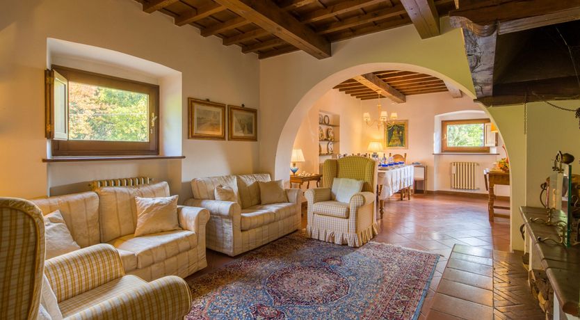 Photo of Olive Vineyards