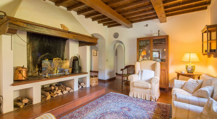 Photo of Olive Vineyards