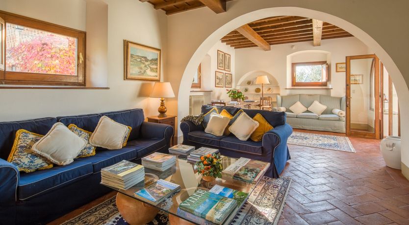 Photo of Olive Vineyards