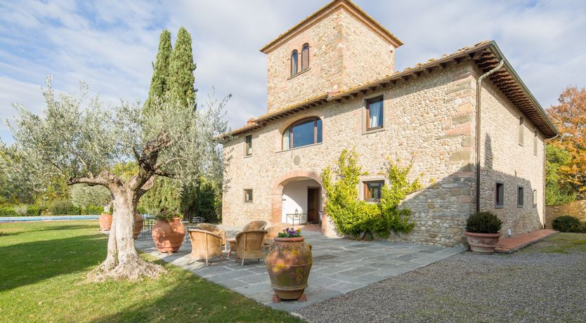 Photo of Olive Vineyards