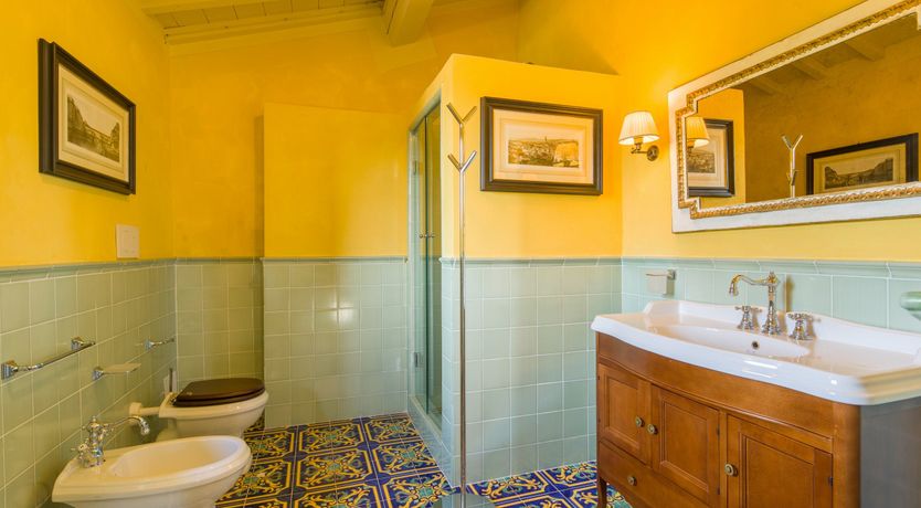 Photo of Olive Vineyards