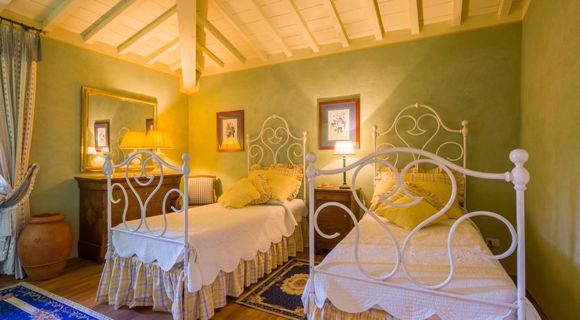 Photo of Olive Vineyards