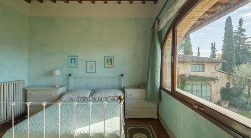 Photo of Olive Vineyards