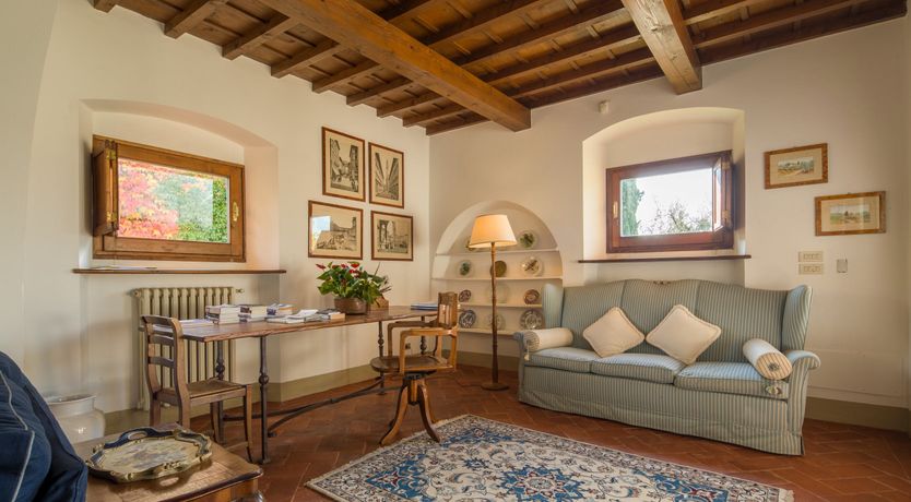 Photo of Olive Vineyards