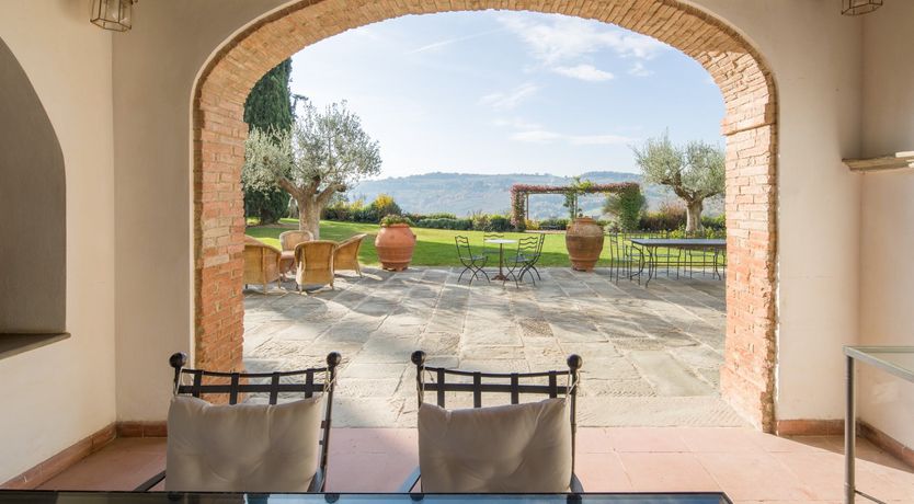 Photo of Olive Vineyards