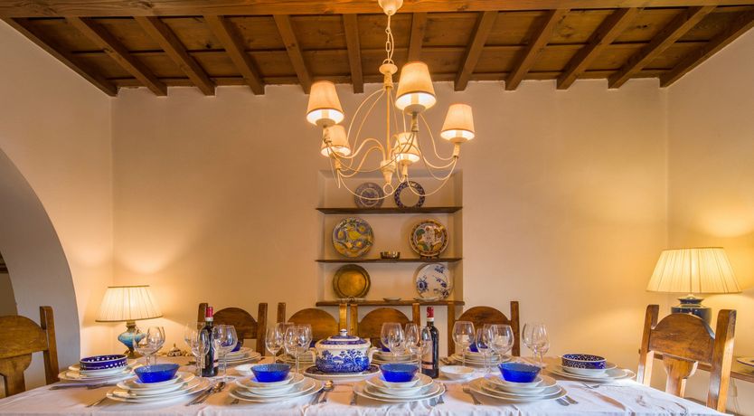 Photo of Olive Vineyards