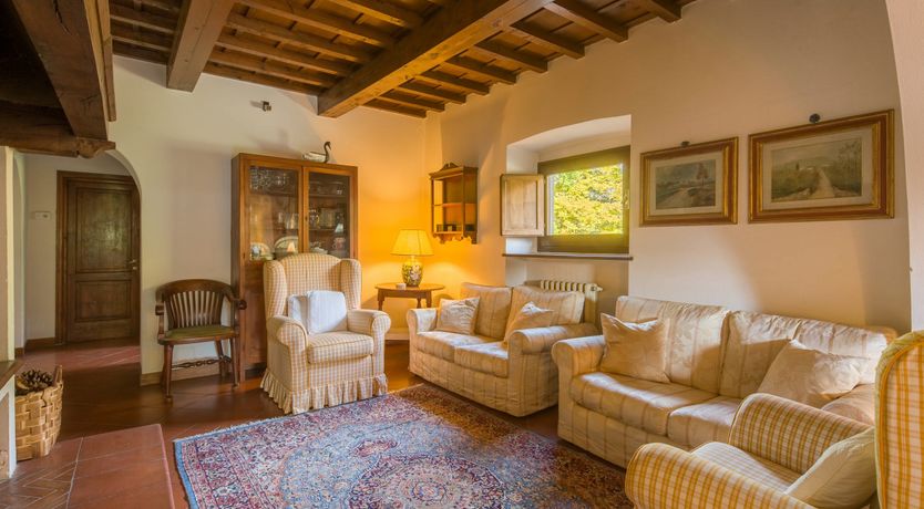 Photo of Olive Vineyards