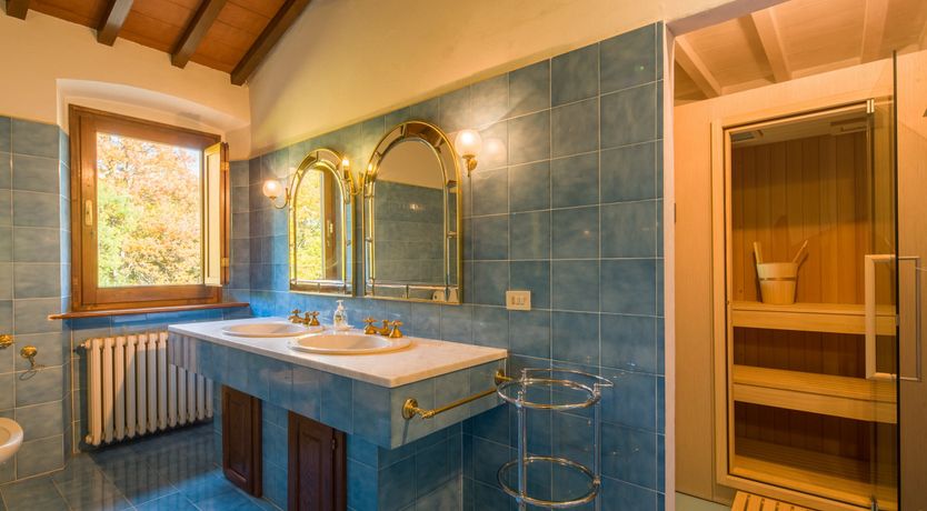 Photo of Olive Vineyards