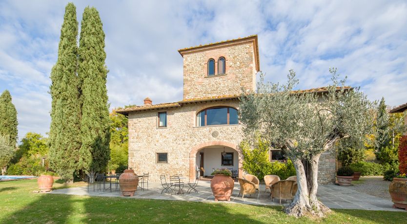 Photo of Olive Vineyards